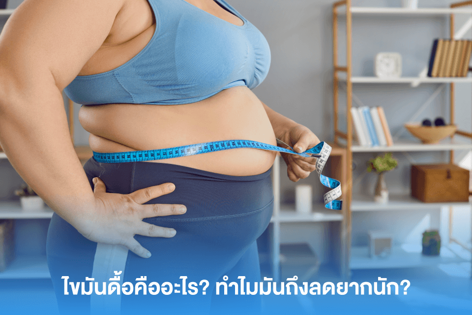 พิชิตไขมันดื้อ! เทคนิคที่คนอยากหุ่นดีต้องลอง